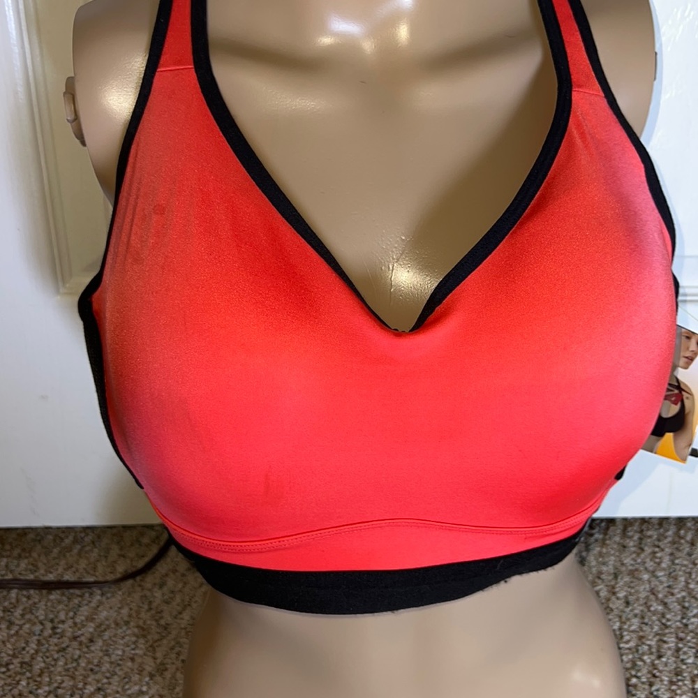 Avis sports Bra38DD nwt